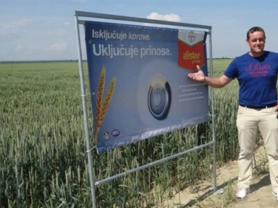 Bayer Dani polja - Donji Miholjac