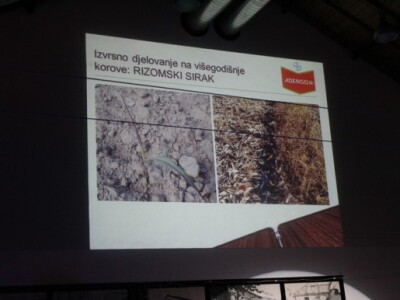 Izvrsno djelovanje Adenga!