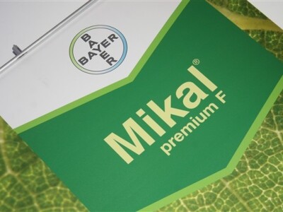 Bayer Expert Forum 2014., Sv. Martin na Muri