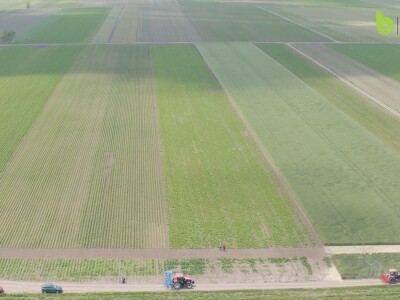 Bayer Farm - Dan polja