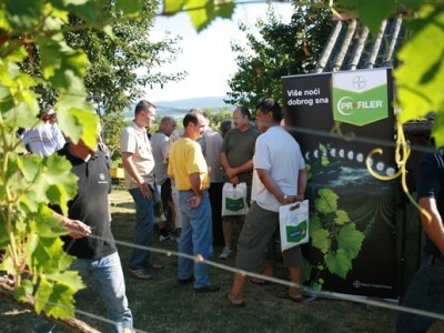 Okupljeni vinogradari