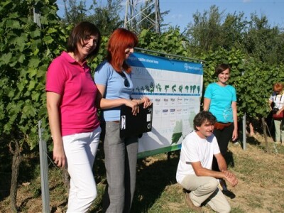 Domaćin i organizatori