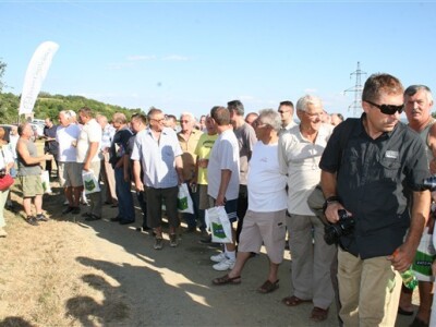 Okupljeni vinogradari