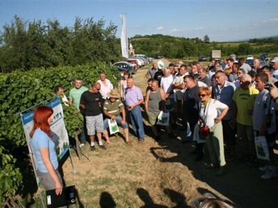 Okupljeni vinogradari