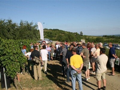 Okupljeni vinogradari