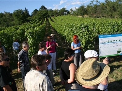 Marija Horvat - predavanje