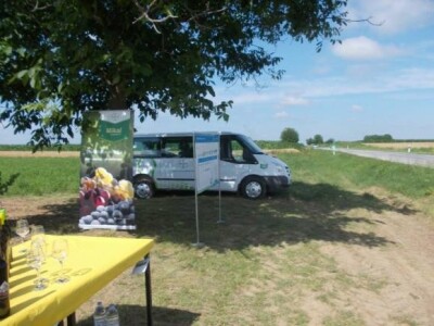 Bayerovi pokusi u vinogradima Iloka