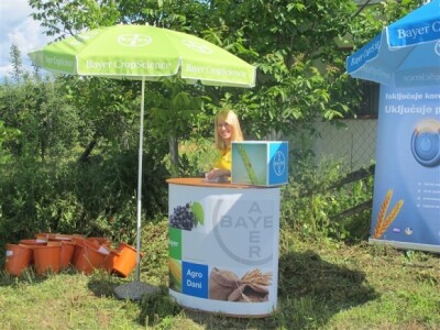 Bayer Dani polja - Alaginci