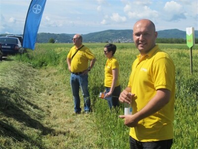 Bayer Dani polja - Alaginci