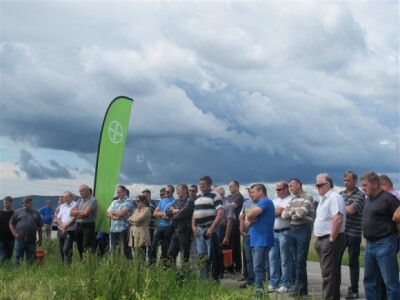 Bayer Dani polja - Alaginci