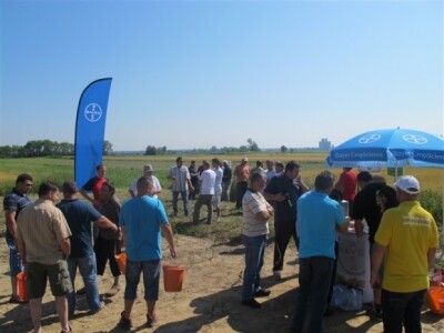 Bayer Dani polja - Djurdjevac