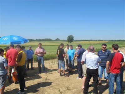 Bayer Dani polja - Djurdjevac