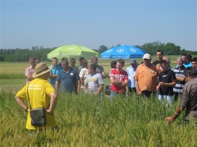 Bayer Dani polja - Djurdjevac