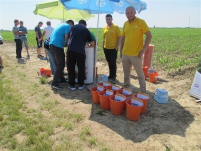 Bayer Dani polja - Donji Miholjac