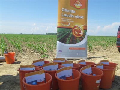 Bayer Dani polja - Donji Miholjac