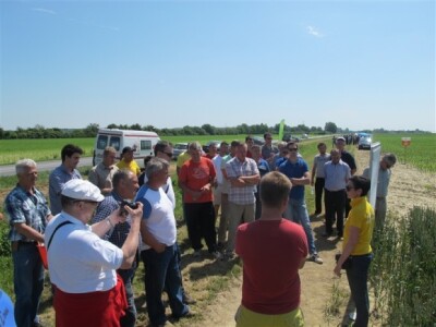 Bayer Dani polja - Donji Miholjac