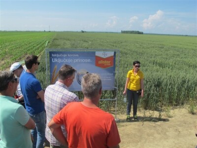 Bayer Dani polja - Donji Miholjac