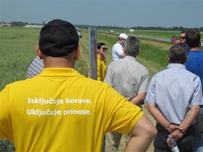 Bayer Dani polja - Donji Miholjac