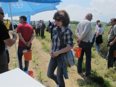 Bayer Dani polja - Podgorje