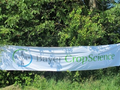 Bayer Dani polja - Podgorje