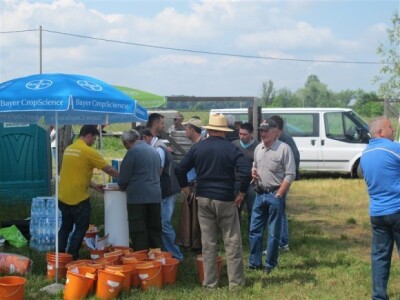 Bayer Dani polja - Slakovci