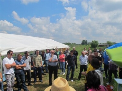 Bayer Dani polja - Slakovci