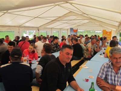 Bayer Dani polja - Podgorje