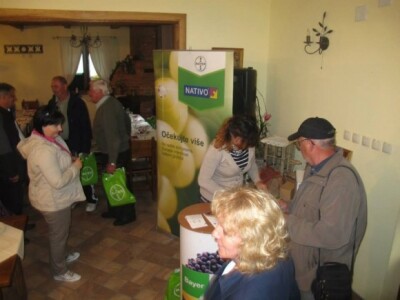 Bayer Dani vinograda - Bjelovar