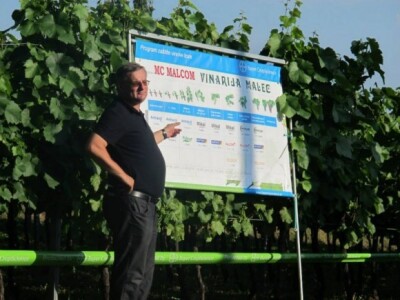 Bayer Dani vinograda - Kutina