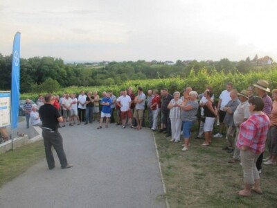 Bayer Dani vinograda - Kutina