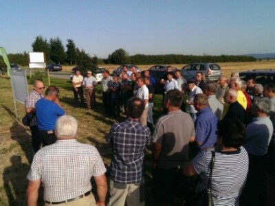 Bayer Dani vinograda - Kutjevo