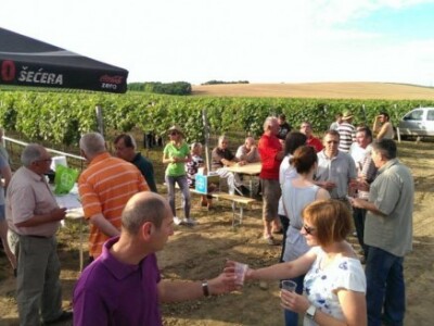 Bayer Dani vinograda - Suza