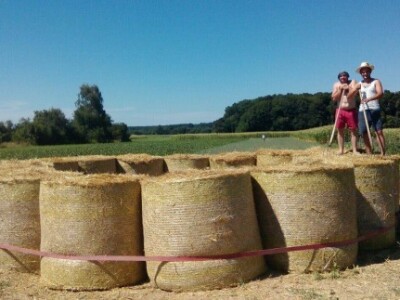 Bale povezane trakom