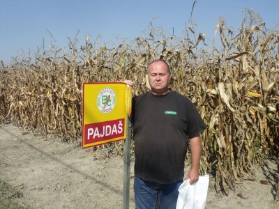 BC Dani polja kukuruza u Starom Topolju