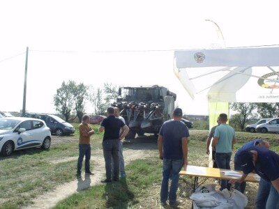 BC Dani polja kukuruza u Starom Topolju