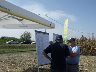 BC Dani polja kukuruza u Starom Topolju