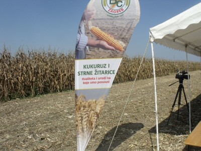 BC Dani polja kukuruza u Starom Topolju