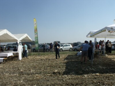 BC Dani polja kukuruza u Starom Topolju