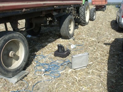 BC Dani polja kukuruza u Starom Topolju