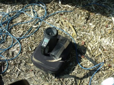 BC Dani polja kukuruza u Starom Topolju