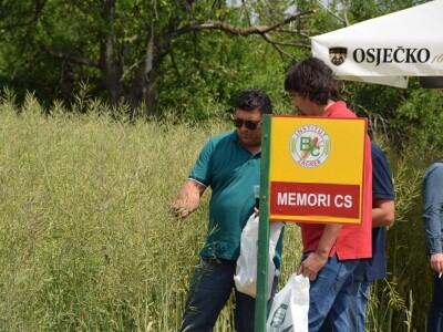 Bc Institut Bc Institut