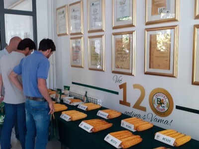 Bc Institut - 125 godišnjica