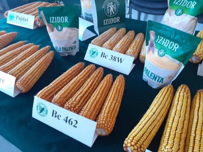 Bc Institut - 125 godišnjica