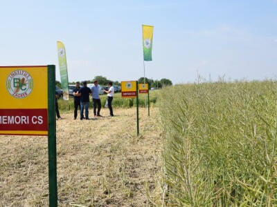 Bc Institut Bc Institut