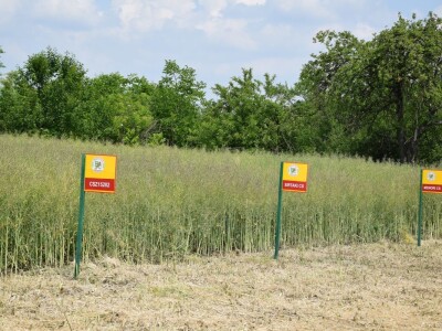 Bc Institut Bc Institut