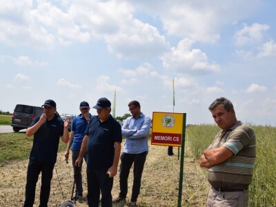 Bc Institut Bc Institut