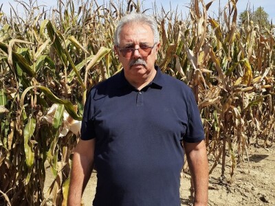 Bc Institut - Dan polja