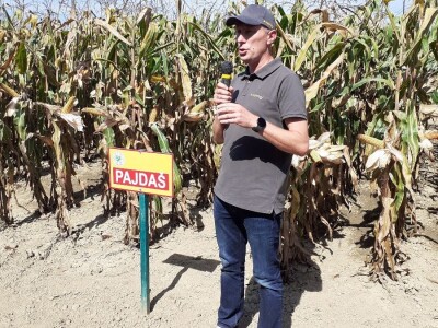 Bc Institut - Dan polja