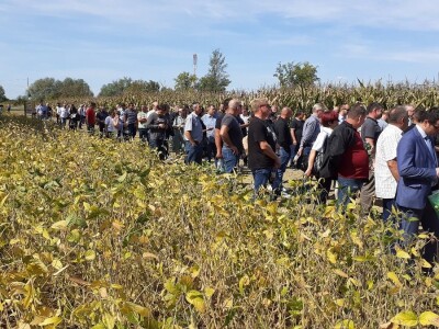 Bc Institut - Dan polja