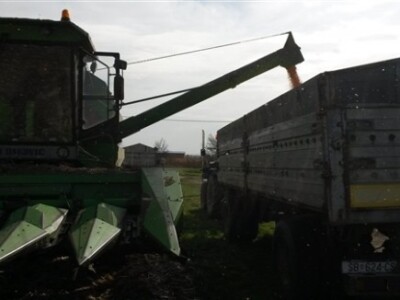 Dani polja BC Instituta u Starom Topolju